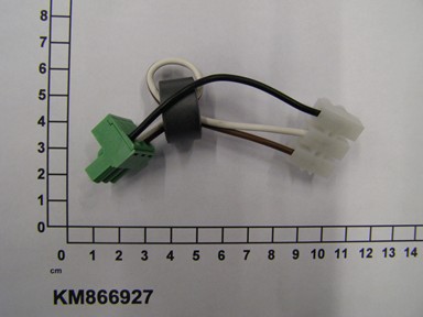 KM866927