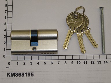 KM868195