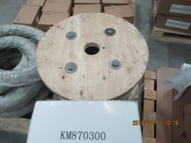 KM870300