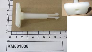 KM881838