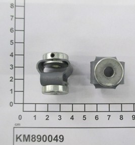 KM890049