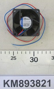 KM893821