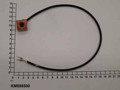 KM898500