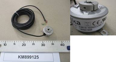 KM899125