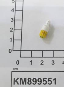 KM899551