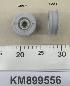 KM899556