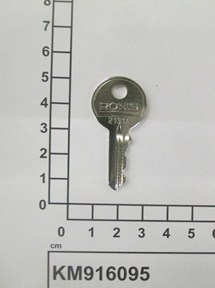 KM916095