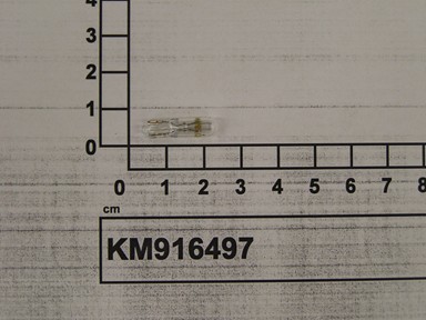 KM916497