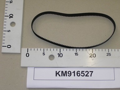 KM916527