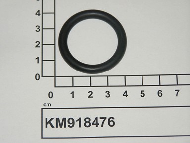 KM918476
