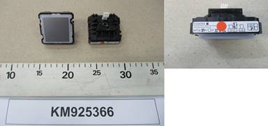 KM925366