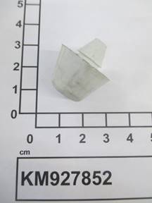 KM927852
