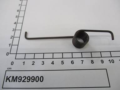 KM929900