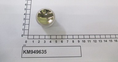 KM949635