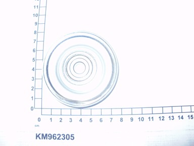 KM962305