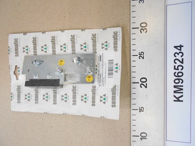 KM965234