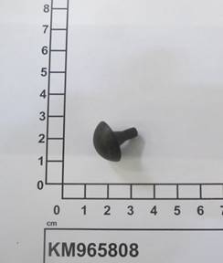 KM965808