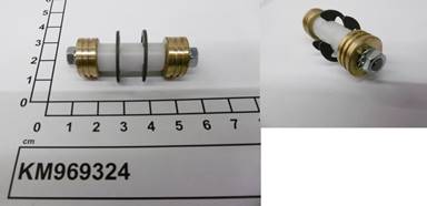 KM969324