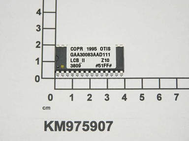 KM975907