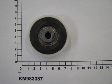 KM983387