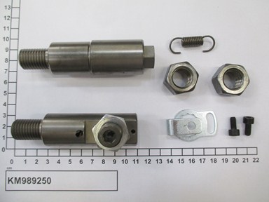 KM989250