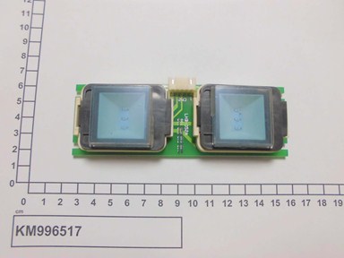 KM996517