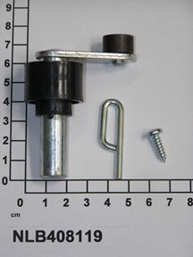 NLB408119