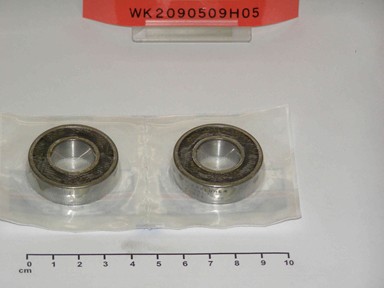 WK2090509H05