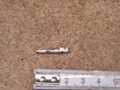 DEE2426723-IMGDEE2426723