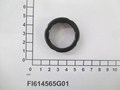 FI614565G01-IMGFI614565G01