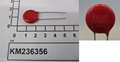 KM236356-IMGKM236356