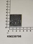 KM239798-IMGKM239798