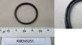 KM245251-PIC000000000246856
