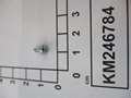 KM246784-IMGKM246784