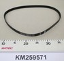 KM259571-IMGKM259571