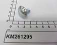 KM261295-IMGKM261295