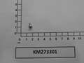 KM273301-PIC000000000299699
