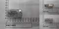 KM274093-PIC000000000307447