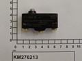KM276213-IMGKM276213