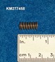 KM277458-IMGKM277458