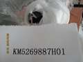 KM5269887H01-PIC000000000285969