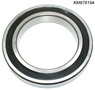 KM878194-IMGKM878194