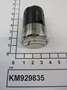 KM929835-IMGKM929835