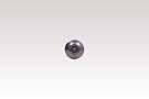 KM949598-GSS_UDC_2631_KM949598_SIDE
