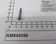 KM949598-IMGKM949598