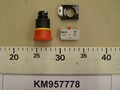 KM957778-PIC000000000035824